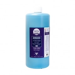 Shampoing régénérant rythme indigo 