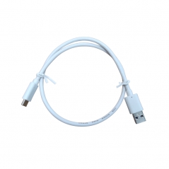 Cordon d'alimentation USB-C pour Aquagun Pro
