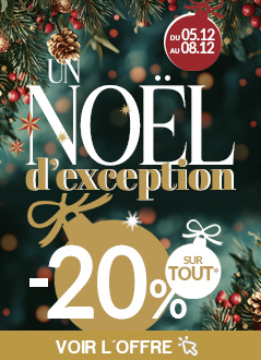 XMAS PARTY 1 -20% sur TOUT 2025